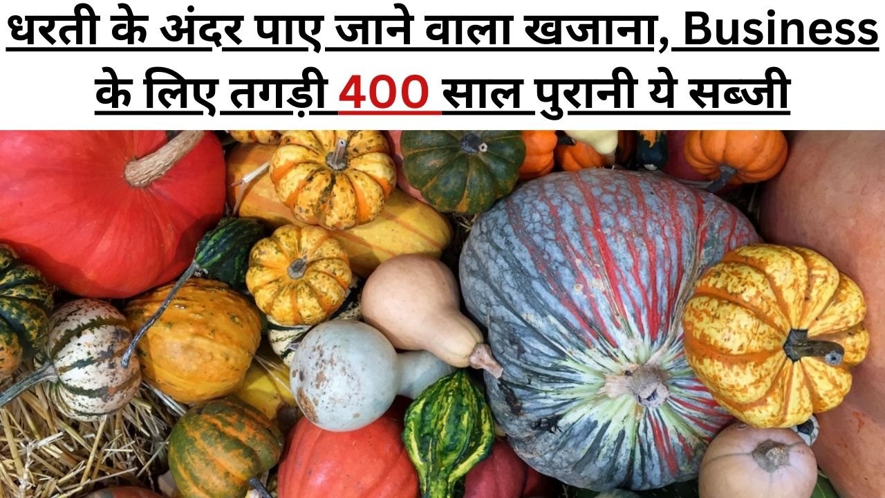 धरती के अंदर पाए जाने वाला खजाना, Business  के लिए तगड़ी 400 साल पुरानी ये सब्जी, जाने इस सब्जी का नाम