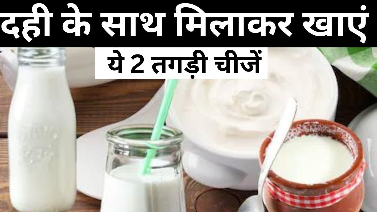 Curd Benefits: दही के साथ मिलाकर खाएं ये 2 तगड़ी चीजें, 4 दिन के अंदर देखने लगेगा असर