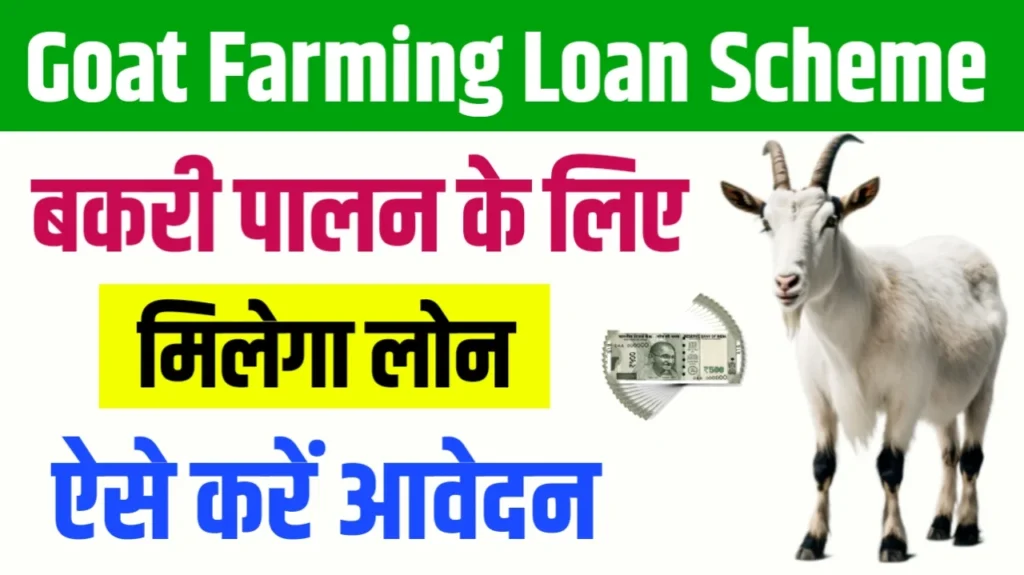 Goat Farming Loan: 10 लाख का लोन 4 लाख तक सब्सिडी, सरकार का सबसे बड़ा एलान, इस तरीके से करे अप्लाई