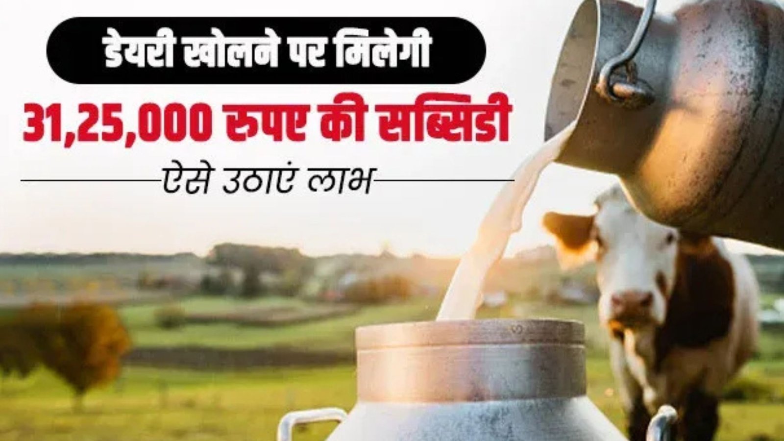 Dairy farming subsidy: 25 दुधारू गायों के साथ शुरू करें खुद का Business, होगी तगड़ी कमाई