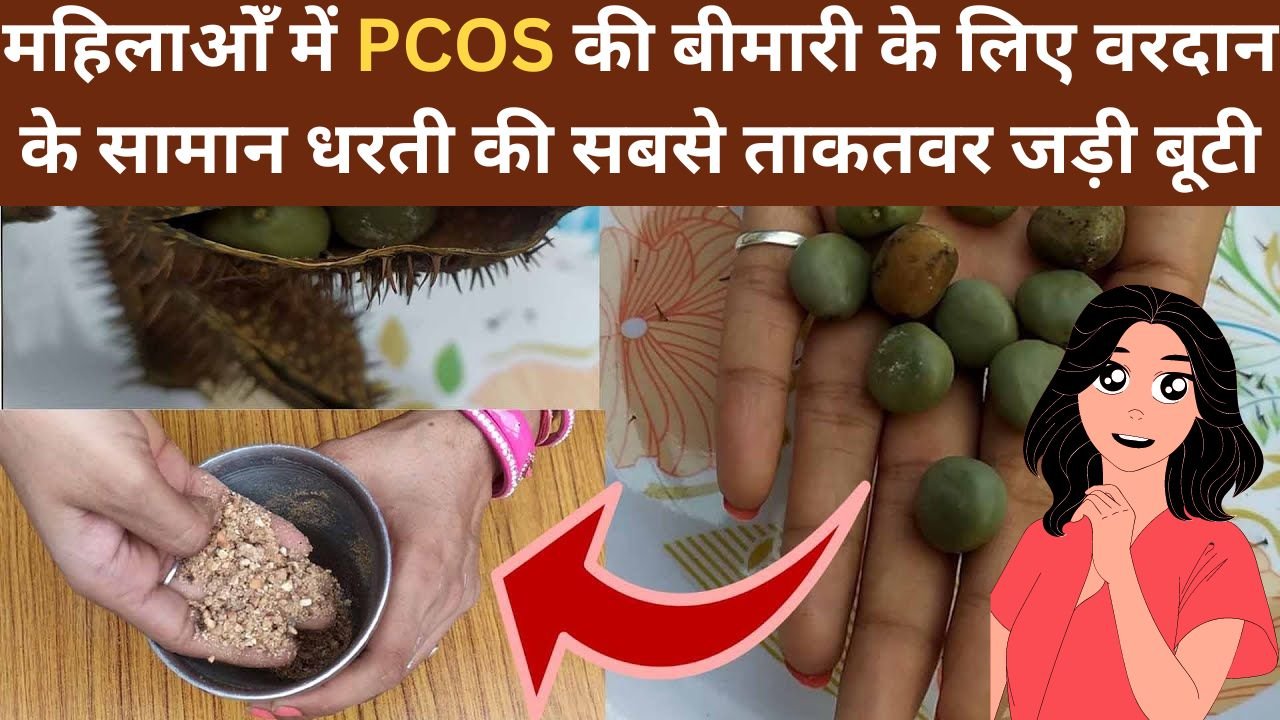 महिलाओँ में PCOS की बीमारी के लिए वरदान के सामान, धरती की सबसे ताकतवर जड़ी बूटी, पढ़िए इस जड़ी का नाम